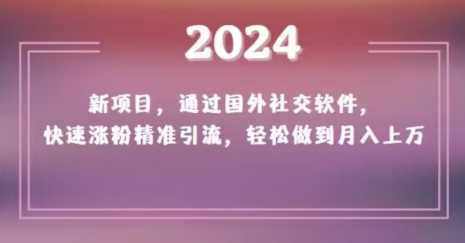 2024新项目,通过国外社交软件,快速涨粉精准引流,轻松做到月入上万【揭秘】-一米创业记