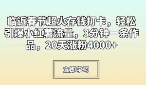 临近春节超火存钱打卡，轻松引爆小红薯流量，3分钟一条作品，20天涨粉4000+【揭秘】-一米创业记