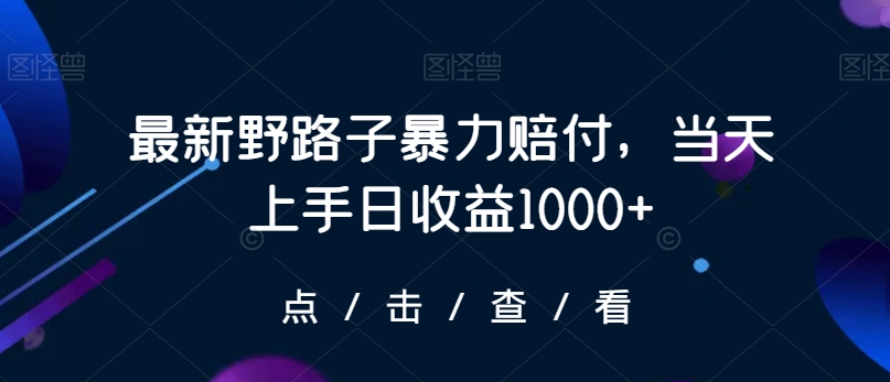 最新野路子暴力赔付，当天上手日收益1000+【仅揭秘】-一米创业记