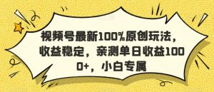 视频号最新100%原创玩法，收益稳定，亲测单日收益1000+，小白专属【揭秘】-一米创业记