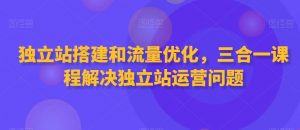独立站搭建和流量优化,三合一课程解决独立站运营问题-一米创业记