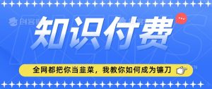 2024最新知识付费项目，小白也能轻松入局，全网都在教你做项目，我教你做镰刀【揭秘】-一米创业记