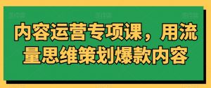 内容运营专项课，用流量思维策划爆款内容-一米创业记