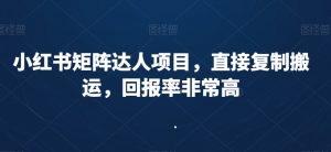 小红书矩阵达人项目，直接复制搬运，回报率非常高-一米创业记