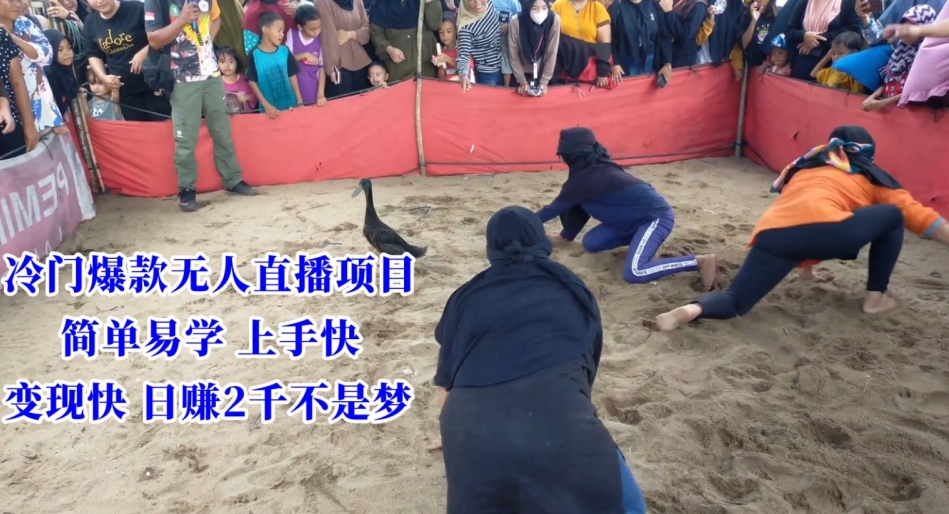 冷门爆款无人直播项目，简单易学上手快，变现快日赚2千不是梦【揭秘】-一米创业记