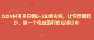 2024拼多多日销0-100单实操，让你迅速起步，做一个稳定盈利的店铺出来-一米创业记