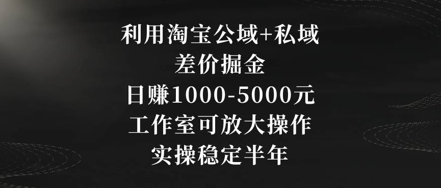 利用淘宝公域+私域差价掘金，日赚1000-5000元，工作室可放大操作，实操稳定半年【揭秘】-一米创业记