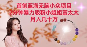 首创蓝海无脑小众项目，2分钟暴力吸粉小姐姐富太太，月入几十万【揭秘】-一米创业记