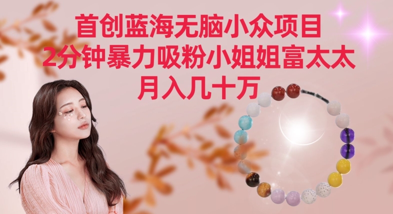 首创蓝海无脑小众项目，2分钟暴力吸粉小姐姐富太太，月入几十万【揭秘】-一米创业记