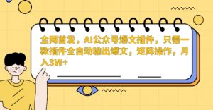 全网首发，AI公众号爆文插件，只需一款插件全自动输出爆文，矩阵操作，月入3W+【揭秘】-一米创业记