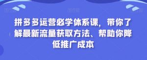 拼多多运营必学体系课，带你了解最新流量获取方法、帮助你降低推广成本-一米创业记