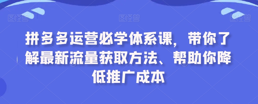 拼多多运营必学体系课,带你了解最新流量获取方法、帮助你降低推广成本-一米创业记