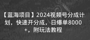 【蓝海项目】2024视频号分成计划，快速开分成，日爆单8000+，附玩法教程-一米创业记