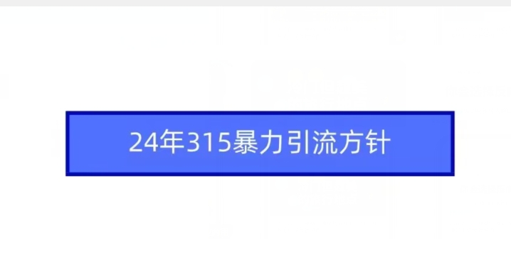 24年315暴力引流方针-一米创业记