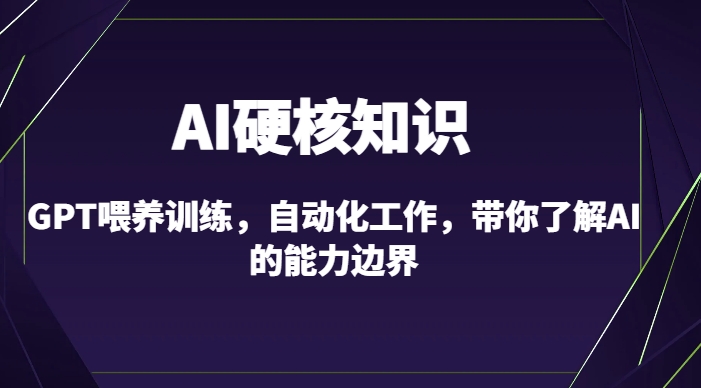 AI硬核知识-GPT喂养训练，自动化工作，带你了解AI的能力边界（10节课）-一米创业记