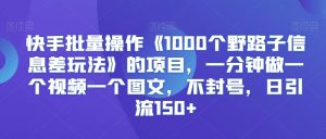 快手批量操作《1000个野路子信息差玩法》的项目，一分钟做一个视频一个图文，不封号，日引流150+【揭秘】-一米创业记