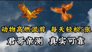 动物超燃混剪，每天轻松5张，剪辑简单大家爱看【揭秘】-一米创业记