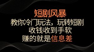 短剧风暴，教你冷门玩法，玩转短剧，收钱收到手软【揭秘】-一米创业记