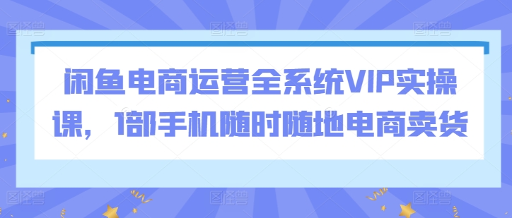 闲鱼电商运营全系统VIP实操课，1部手机随时随地电商卖货-一米创业记