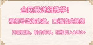 全网最详细教学，视频号蓝海赛道，口播情感视频，无需露脸，制作简单，轻松实现日入1000+【揭秘】-一米创业记