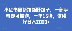 小红书最新拉新野路子，一部手机即可操作，一单15块，做得好日入2000+【揭秘】-一米创业记