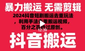 2024最新抖音搬运技术，抖音短剧视频去重，手法搬运，利用工具去重，达到秒过原创的效果【揭秘】-一米创业记