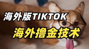 抖音海外版tiktok撸金技术,这个风口行业,赚钱真的不难【揭秘】-一米创业记