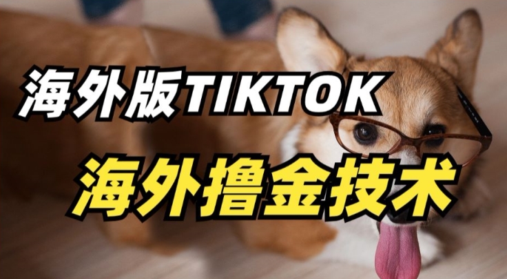 抖音海外版tiktok撸金技术，这个风口行业，赚钱真的不难【揭秘】-一米创业记