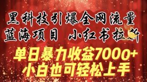 蓝海项目!黑科技引爆全网流量小红书拉新，单日暴力收益7000+，小白也能轻松上手【揭秘】-一米创业记