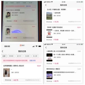 2024年3月最新，快手磁力聚星全流程实操教学，8台手机日均收益稳定100~200元【揭秘】-一米创业记