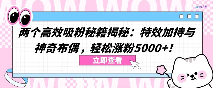 两个高效吸粉秘籍揭秘：特效加持与神奇布偶，轻松涨粉5000+【揭秘】-一米创业记