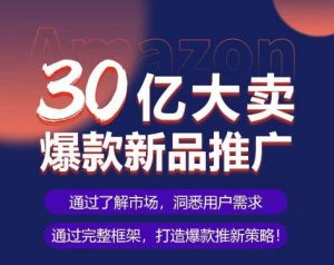 亚马逊·30亿大卖爆款新品推广,可复制、全程案例实操的爆款推新SOP-一米创业记