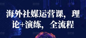海外社媒运营课，理论+演练，全流程-一米创业记