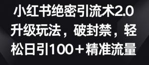 小红书绝密引流术2.0升级玩法，破封禁，轻松日引100+精准流量【揭秘】-一米创业记