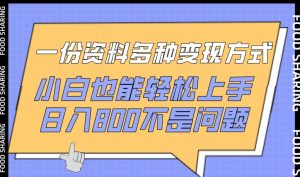 一份资料多种变现方式，小白也能轻松上手，日入800不是问题【揭秘】-一米创业记
