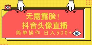 无需露脸，Ai头像直播项目，简单操作日入500+【揭秘】-一米创业记