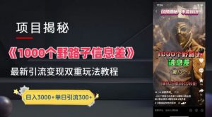 一千个野路子信息差最新玩法教程-变现+引流的玩法具体拆解【揭秘】-一米创业记