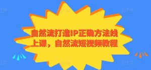 自然流打造IP正确方法线上课，自然流短视频教程-一米创业记