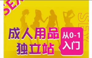 成人用品独立站从0-1入门,成品独立站运营全流程教学,七大好卖成品独立站推荐-一米创业记