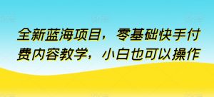 全新蓝海项目，零基础快手付费内容教学，小白也可以操作【揭秘】-一米创业记