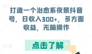 打造一个治愈系夜景抖音号，日收入300+，多方面收益，无脑操作【揭秘】-一米创业记
