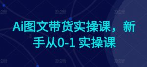 Ai图文带货实操课，新手从0-1 实操课-一米创业记