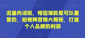 流量内训班,相信爆款是可以重复的,短视频营销大揭秘,打造个人品牌的利器-一米创业记