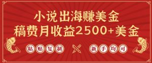 小说出海赚美金，稿费月收益2500+美金，仅需chatgpt粘贴复制，新手也能玩转【揭秘】-一米创业记