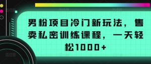 男粉项目冷门新玩法，售卖私密训练课程，一天轻松1000+【揭秘】-一米创业记
