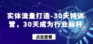 实体流量打造-30天特训营，30天成为行业标杆-一米创业记