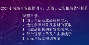 2024小淘纯带货视频项目,无需自己实拍纯剪辑操作-一米创业记