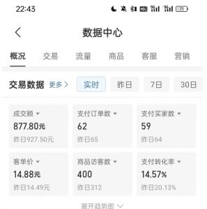 拼多多虚拟U盘电商红利项目：月赚2万+，新手小白也能玩-一米创业记