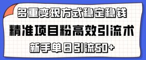 精准项目粉高效引流术，新手单日引流50+，多重变现方式稳定赚钱【揭秘】-一米创业记