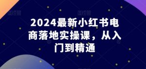 2024最新小红书电商落地实操课，从入门到精通-一米创业记